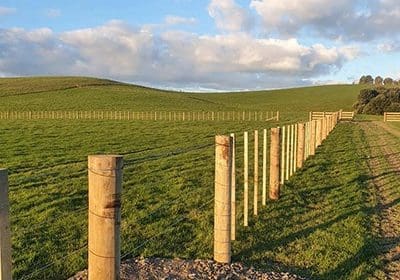 farm fencing North Waikato