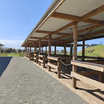 stockyard-building-specialists-south-of-Auckland