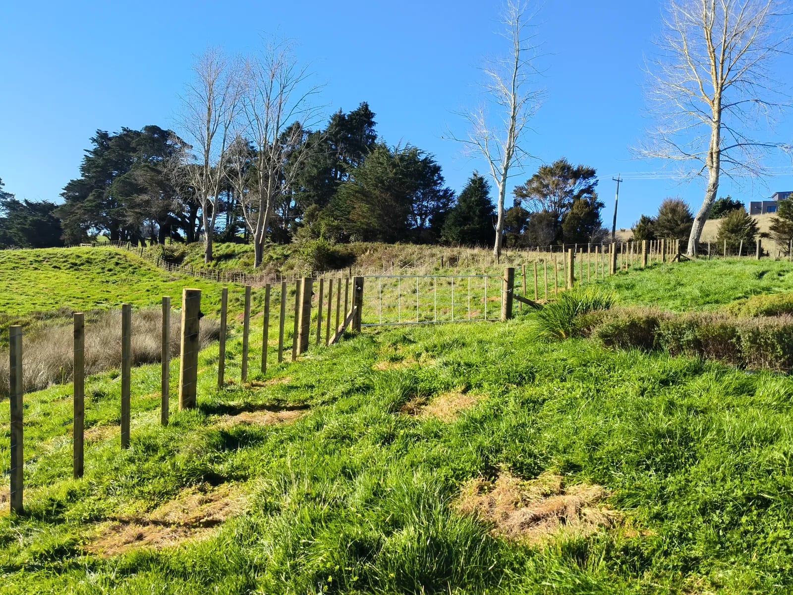 Rural fence posts on the Kaiaua installation