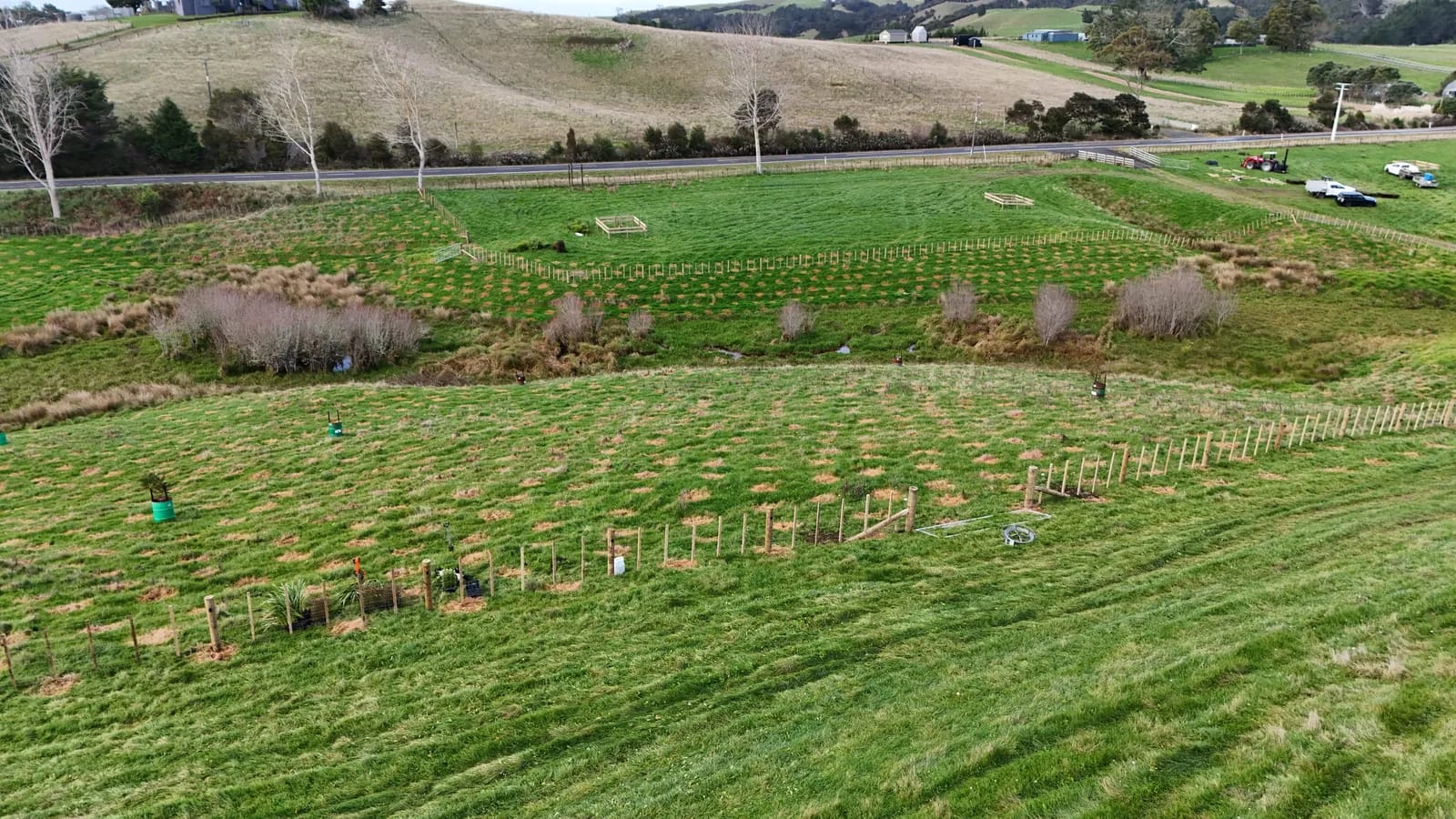 kaiaua fencing across hillside