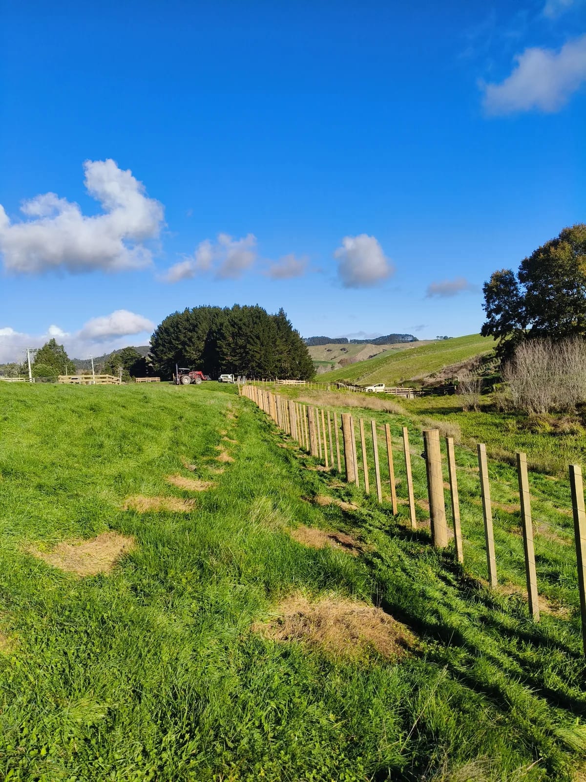 kaiaua finished fence line