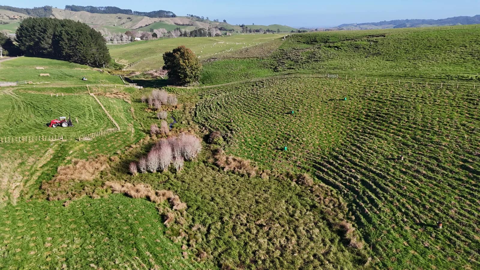 kaiaua hill country farm