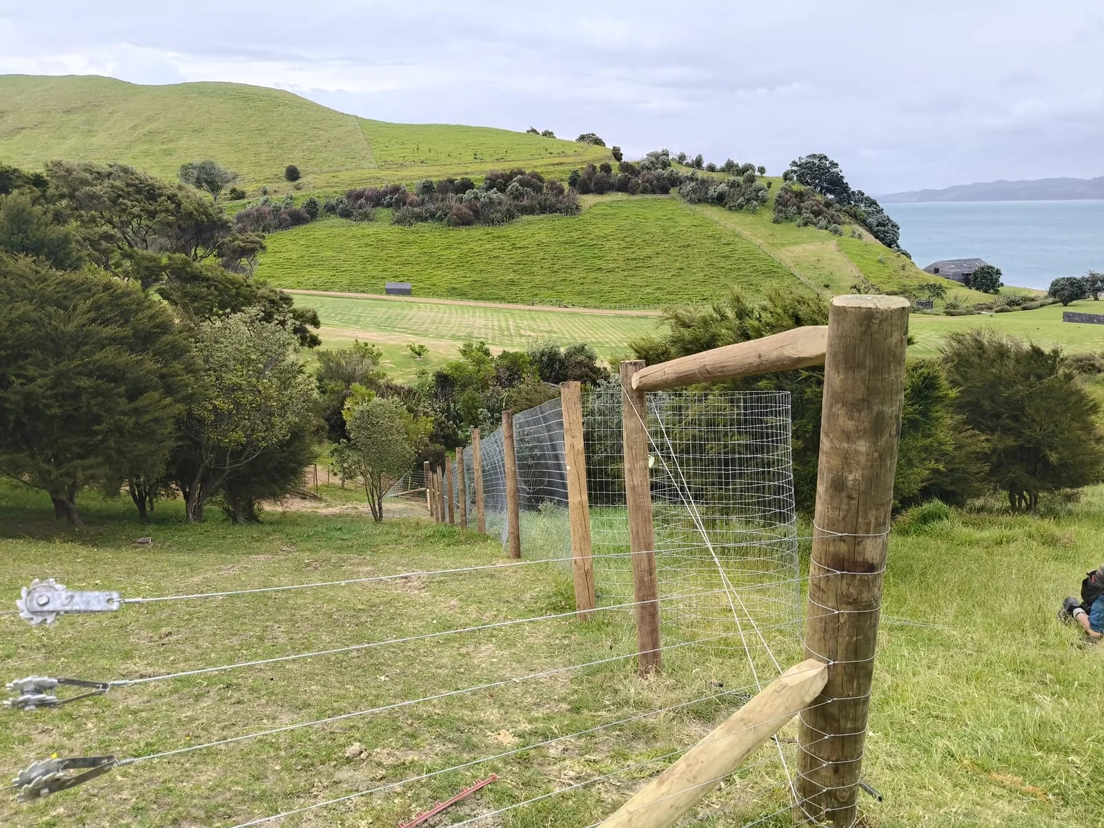 te matuku post wire fencing