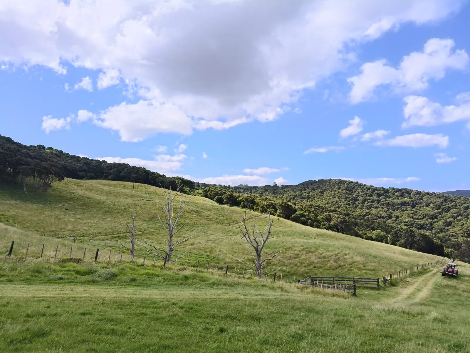 te matuku rural hillside fencing